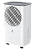 Осушитель воздуха Royal Clima Carisma Studio RD-CR10-E